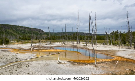 Opalescent pool
