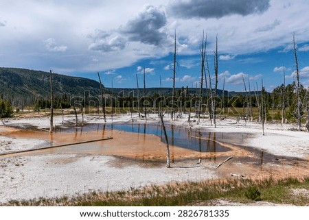 Opalescent Pool with Ghostly Dead Trees at Black Sand Basin in Yellowstone National Park, USA