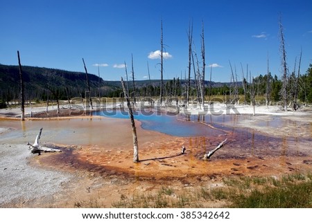 Opalescent pool in Yellowstone National park, Wyoming