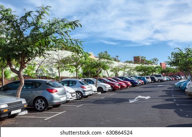 Fotos Imagenes Y Otros Productos Fotograficos De Stock Sobre Tree