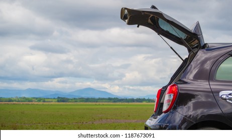 Open back door hatchback car with meadow