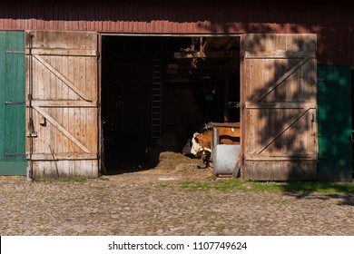 Open Barn Door With A View On Eating Cattle