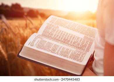 Open bible book in hands at wheat field - Powered by Shutterstock