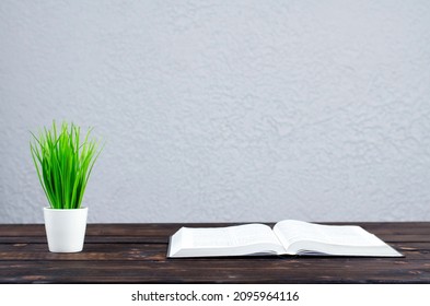 Open Bible. The Book Is On The Table. Green Flowerpot. Desktop.