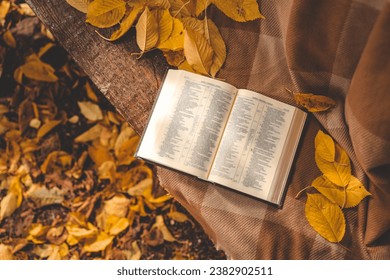 Open Bible on a blanket, autumn. - Powered by Shutterstock