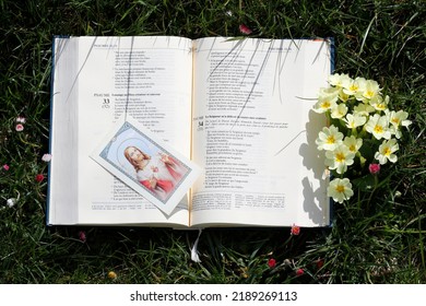 Open Bible On The Grass With Yellow Flowers. The Psalms. Springtime.  03-27-2020