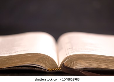 Young Man Reads Bible Holds Open Stock Photo (Edit Now) 731621878