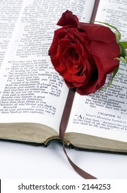 Open Bible Single Red Rose Stock Photo (Edit Now) 2144253