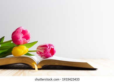 Open bible with tulip flowers on light wood - Powered by Shutterstock