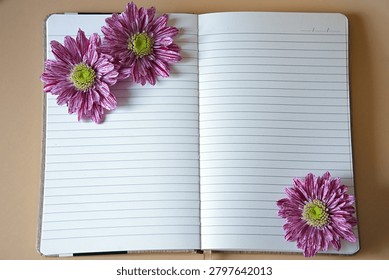 An open , blank, lined notebook decorated with pink chrysanthemum flowers. High quality photo