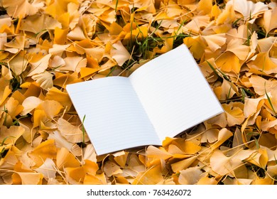 Open blank note on a fallen ginkgo leave ground 