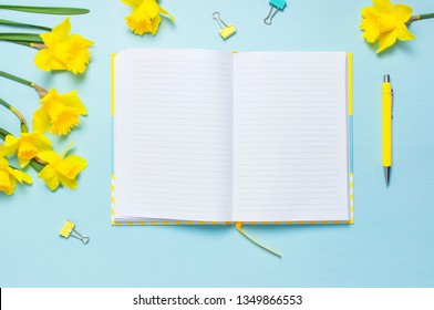 Open blank notebook, pen, clips, spring flowers daffodils narcissus on blue background. Female desktop, Office desk, spring concept. Flat lay, top view, copy space. Template for feminine blog