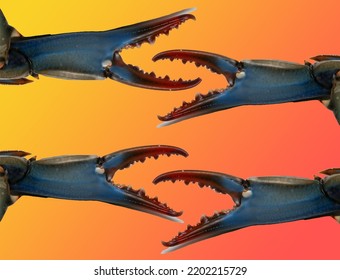 Open Blue Crab Claws Scary Image On Orange Fiery Background