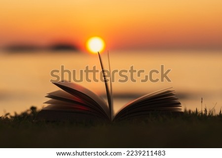 Open Book Bible outdoor God's promises in daily life Abstract styleTone Silhouette on blurred background	
