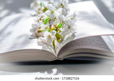 18,336 Open book flower white Images, Stock Photos & Vectors | Shutterstock