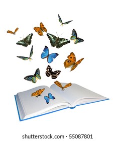 Open Book With Butterflies Flying From It