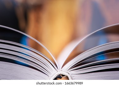 Open book close-up with soft blur background
