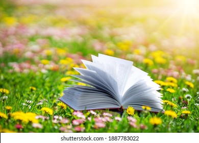 Open book in the grass on the field on sunny day in spring. Beautiful meadow with daisy and dandelion flowers at springtime. Reading and knowledge concept