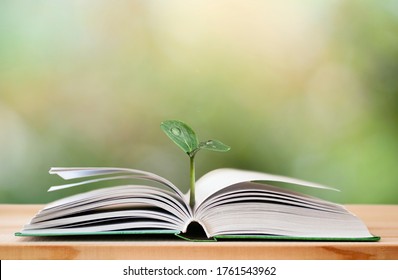 Open Book With Green Sprout On The Nature Background