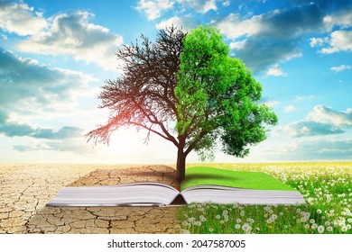 Open book with live and dead tree. Global warming or climate change concepts.
