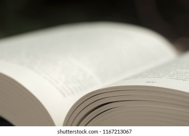 open book macro selective focus