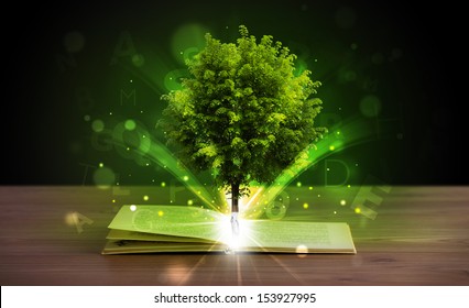 Open book with magical green tree and rays of light on wooden deck