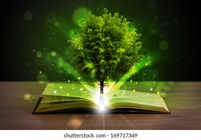 Open Book With Magical Green Tree And Rays Of Light On Wooden Deck