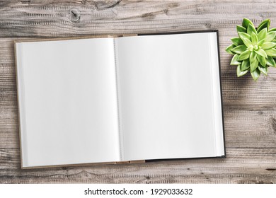 Open book mock up flat lay with succulent plant on wooden background