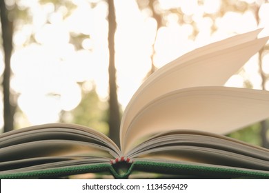 Open Book Nature Background Education Reading Stock Photo 1134569429 ...