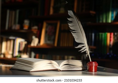 An open book. Next to it is an inkwell with a quill pen. Background - bookshelves illuminated by the sun.