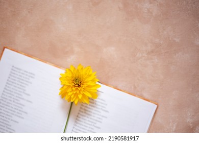 Open Book On A Beige Background With A Flower Bookmark