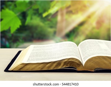 66,931 Open bible Images, Stock Photos & Vectors | Shutterstock