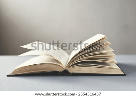 Open book on gray background, illustration, knowledge, reading, science, history, studying