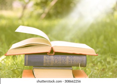 18,336 Open book flower white Images, Stock Photos & Vectors | Shutterstock