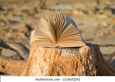 An open book on an old stumpy stump. The concept of reading books, learning, study