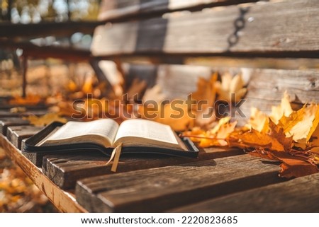 Open book on wood planks over outdoor natural background.