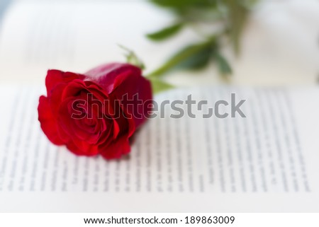 The open book and a red rose 