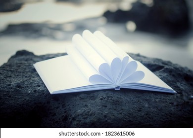 Open Book With White Paper Page Flower Shape Decoration On A Sea Rock. New Life, New Chapter Concept.