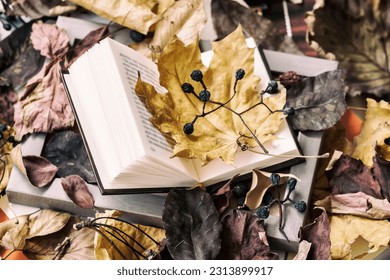 Open book in wooden frame close-up covered with autumn leaves, top view, sunny fall day, vintage background. Top view. Concept of starting school, romantic mood, back to school, education