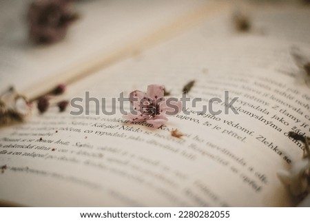 Open books with fresh blooming twigs on pages spring cherry tree