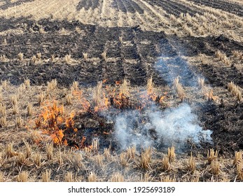 Open burning fire and smoke
