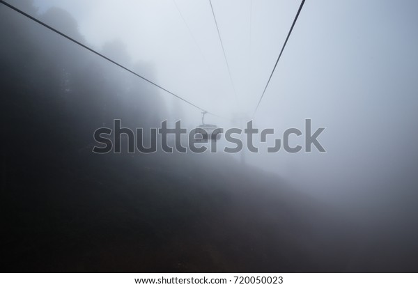 Open cable car\
above fir trees in deep\
fog.
