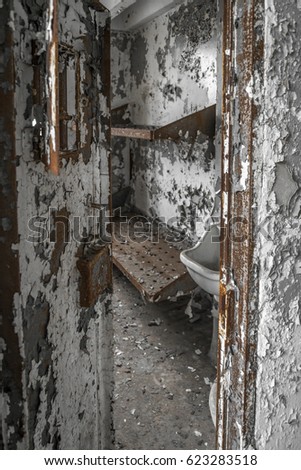 Similar – Morbid mood. A toilet bowl stands in a dilapidated house. Wallpaper and paint come off the wall and through an open window you can see a shrub