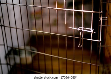 Open Cell Door Lit By Sun. Empty Abandoned Pet Wire Crate Or Animal Cage. Runaway