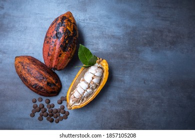 Open Cocoa Fruits With Chocolate Chips, Gray Background, Seen From Above, Free Space