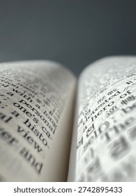 an open dictionary on a gray background