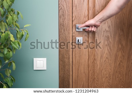Open the door. Hand on door handle. Close - up elements of the interior of a beautiful apartment. The white switch on the green wall. Houseplant