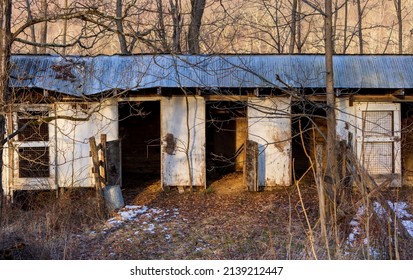 Open Doors To Empty Stable In Woods