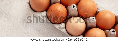 Open egg boxes with different eggs on a light background Fresh organic chicken eggs in carton pack or egg container. Top view. Panorama.