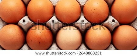 Open egg boxes with different eggs on a light background Fresh organic chicken eggs in carton pack or egg container. Top view. panorama, banner.